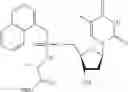 Fig. 29 - Nucleic acid prodrugs