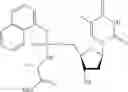 Fig. 30 - Nucleic acid prodrugs