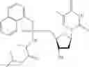 Fig. 31 - Nucleic acid prodrugs