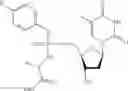 Fig. 33 - Nucleic acid prodrugs
