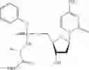 Fig. 35 - Nucleic acid prodrugs