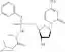 Fig. 37 - Nucleic acid prodrugs