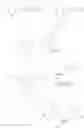 Fig. 53 - Nucleic acid prodrugs