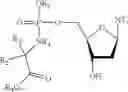 Fig. 55 - Nucleic acid prodrugs