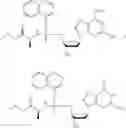 Fig. 57 - Nucleic acid prodrugs