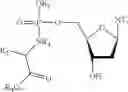 Fig. 58 - Nucleic acid prodrugs