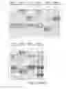 Fig. 03 - FOXM1-derived peptide, and vaccine including same