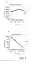 Fig. 05 - FOXM1-derived peptide, and vaccine including same