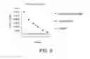 Fig. 06 - FOXM1-derived peptide, and vaccine including same