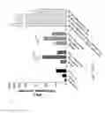 Fig. 09 - METHOD FOR OBTAINING TUMOR PEPTIDES AND USES THEREOF