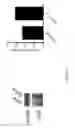 Fig. 19 - METHOD FOR OBTAINING TUMOR PEPTIDES AND USES THEREOF