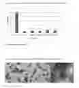 Fig. 10 - Peptides and uses therefor as antiviral agents