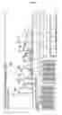 Fig. 06 - PEPTIDES