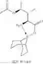 Fig. 24 - Derivatives of gamma-amanitin
