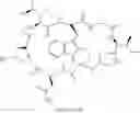 Fig. 34 - Derivatives of gamma-amanitin