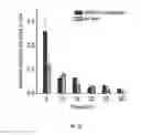 Fig. 12 - Optogenetic system based on bacterial phytochrome controllable with near infra-red light