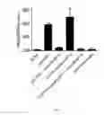 Fig. 04 - DIAGNOSTIC AND THERAPEUTIC QUORUM-SENSING-MANIPULATION MOLECULES THAT ARE TRACKABLE FOR HEALTH-CARE AND INDUSTRIAL SYSTEMS.