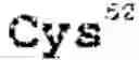 Fig. 06 - Streptavidin muteins and methods of using them