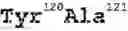 Fig. 16 - Streptavidin muteins and methods of using them