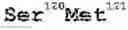 Fig. 262 - Streptavidin muteins and methods of using them