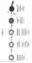 Fig. 02 - Nato3 mutant polypeptides and uses thereof