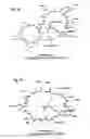 Fig. 02 - NOVEL PROTEINS SPECIFIC FOR PYOVERDINE AND PYOCHELIN
