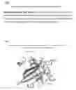Fig. 09 - NOVEL PROTEINS SPECIFIC FOR PYOVERDINE AND PYOCHELIN