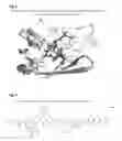 Fig. 10 - NOVEL PROTEINS SPECIFIC FOR PYOVERDINE AND PYOCHELIN