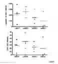Fig. 09 - Production of large-sized microdystrophins in an AAV-based vector configuration