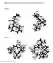 Fig. 15 - C-TERMINAL EPITOPES IN AMYLOID BETA AND CONFORMATIONALLY-SELECTIVE ANTIBODIES THERETO