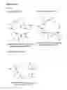 Fig. 16 - C-TERMINAL EPITOPES IN AMYLOID BETA AND CONFORMATIONALLY-SELECTIVE ANTIBODIES THERETO