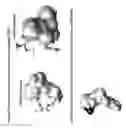Fig. 17 - C-TERMINAL EPITOPES IN AMYLOID BETA AND CONFORMATIONALLY-SELECTIVE ANTIBODIES THERETO