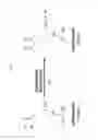 Fig. 02 - ANTI-TUMOUR RESPONSE TO MODIFIED SELF-EPITOPES