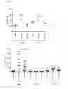 Fig. 22 - ANTI-TUMOUR RESPONSE TO MODIFIED SELF-EPITOPES
