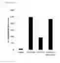 Fig. 23 - ANTI-TUMOUR RESPONSE TO MODIFIED SELF-EPITOPES