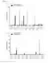 Fig. 31 - ANTI-TUMOUR RESPONSE TO MODIFIED SELF-EPITOPES
