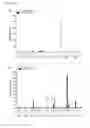 Fig. 32 - ANTI-TUMOUR RESPONSE TO MODIFIED SELF-EPITOPES