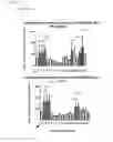 Fig. 55 - ANTI-TUMOUR RESPONSE TO MODIFIED SELF-EPITOPES