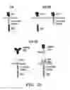 Fig. 03 - Methods and compositions relating to chimeric antigen receptors