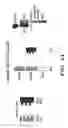 Fig. 06 - Methods and compositions relating to chimeric antigen receptors