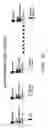 Fig. 08 - Methods and compositions relating to chimeric antigen receptors