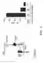 Fig. 10 - Methods and compositions relating to chimeric antigen receptors