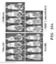 Fig. 27 - Methods and compositions relating to chimeric antigen receptors