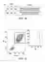 Fig. 35 - Methods and compositions relating to chimeric antigen receptors