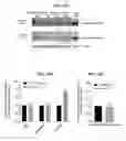 Fig. 50 - Chimeric proteins and methods of immunotherapy