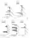 Fig. 07 - Anti-CD276 chimeric antigen receptors