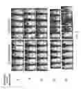 Fig. 10 - Anti-CD276 chimeric antigen receptors