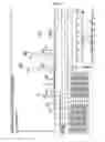 Fig. 07 - PEPTIDES