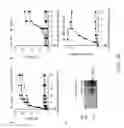 Fig. 06 - DNA ANTIBODY CONSTRUCTS AND METHOD OF USING SAME