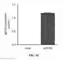 Fig. 28 - DNA ANTIBODY CONSTRUCTS AND METHOD OF USING SAME